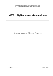 M307 : Algèbre matricielle numérique