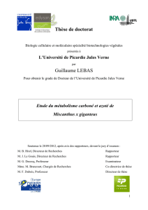 Thèse de doctorat Guillaume LEBAS - Université de Picardie Jules
