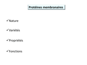 Les Protéines - medecine dentaire alger 2014-2015