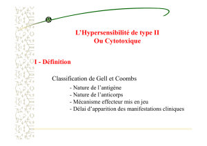 hypersensibilite-cytotoxique
