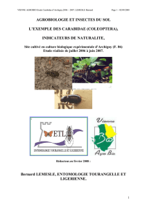 agrobiologie et insectes du sol l`exemple des carabidae