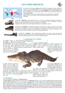Les crocodiliens - Aquarium tropical du Palais de la Porte dorée