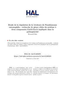 Etude de la régulation de la virulence de Pseudomonas - Hal-CEA