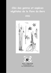 Clés des genres et espèces végétales de la flore du Gers 2006