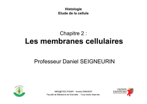 Les membranes cellulaires