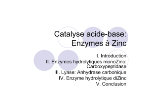 Catalyse acide-base: Enzymes à Zinc