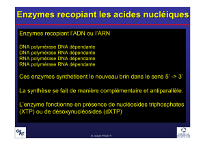 Enzymes recopiant les acides nucléiques