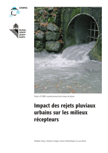 La brochure "Impact des rejets pluviaux urbains sur les milieux