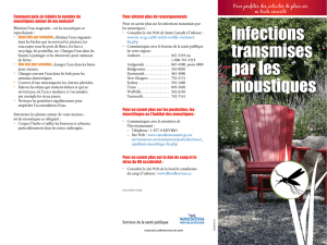 Infections transmises par les moustiques