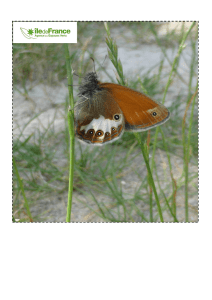 Inventaires naturalistes - Agence des Espaces Verts