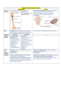 PDF-Les-organes-lymphoïdes-primaires-et