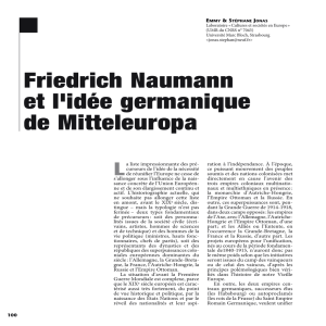 Friedrich Naumann et l`idée germanique de Mitteleuropa