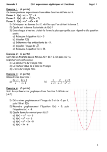DS1 expressions algébriques et fonctions