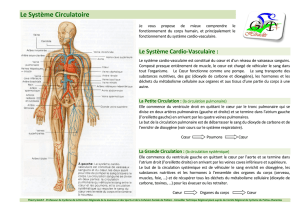 Le Système Circulatoire - Comité Régional Cyclisme Poitou