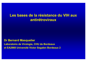 Les bases de la résistance du VIH aux antirétroviraux