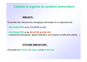 Cellules et organes du système immunitaire