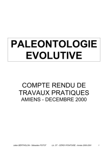 PALEONTOLOGIE EVOLUTIVE