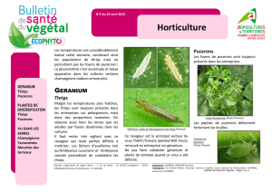 Horticulture - Fleurs et Plantes d`Alsace