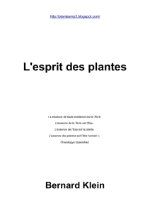 L`esprit des plantes