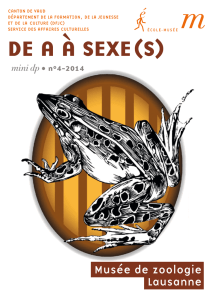 DE A À SEXE(S) - Musée de zoologie