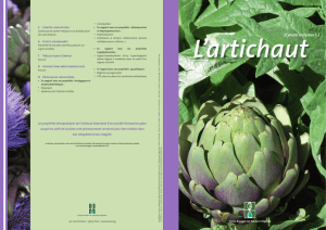 L`artichaut(Cynara scolymus L.)