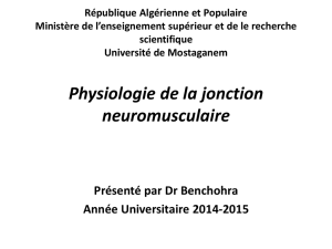 Physiologie de la jonction neuromusculaire