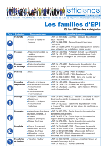 Famille d`EPI et catégories - Efficience Santé au Travail
