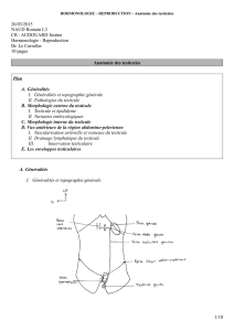 Reproduction Dr. Le Corroller 10 pages Anatomie des