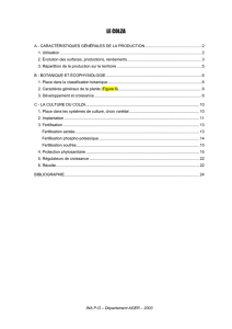 colza - Cours en Ligne