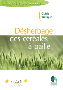 Désherbage céréales - Chambre d`Agriculture des Pays de la Loire