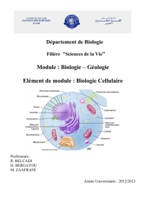 Module : Biologie – Géologie Elément de module - FSA