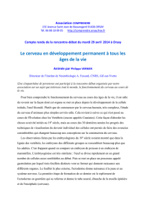 Compte-Rendu - Association Comprendre