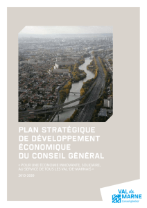 Plan Stratégique de Développement économique du Conseil Général