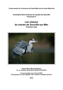 Les oiseaux du marais de Gouville-sur-Mer - Manche
