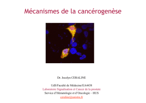 Mécanismes de la cancérogenèse