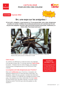 Brr, une expo sur les araignées