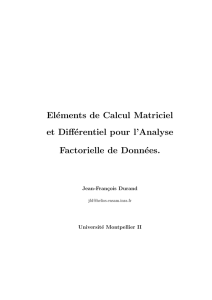 Eléments de Calcul Matriciel et Différentiel pour l`Analyse Factorielle