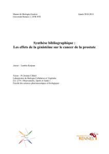 Les effets de la génistéine sur le cancer de la prostate