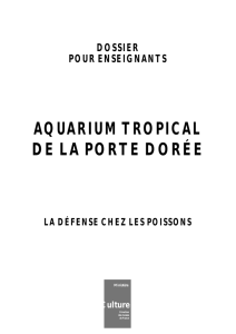 La défense chez les poissons - Aquarium tropical du Palais de la