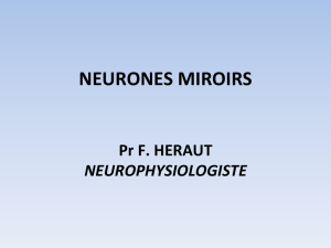 NEURONES MIROIRS - D&eacute;couvrir les myst&egrave;res du cerveau pour