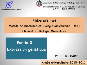 Réplication - Faculté des Sciences Rabat
