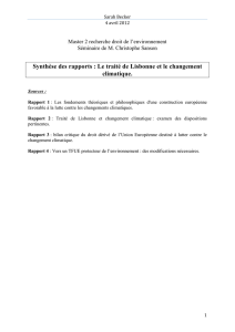 Synthèse des rapports : Le traité de Lisbonne et le