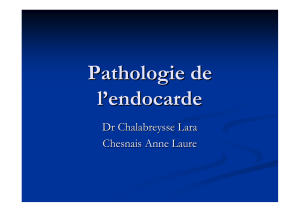 pathologie endocarde - L. Chalabreysse
