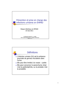 infections urinaires en EHPAD - CCLIN Paris-Nord