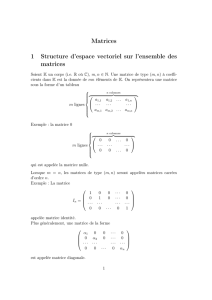 Matrices 1 Structure d`espace vectoriel sur l`ensemble des matrices