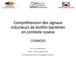 Compréhension des signaux inducteurs de biofilm bactérien en