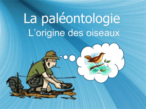 La paléontologie