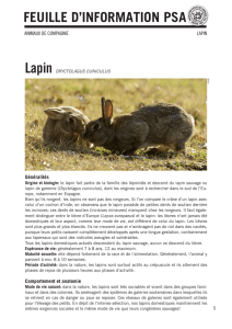 FEUILLE D`INFORMATION PSA Lapin ORYCTOLAGUS CUNICULUS