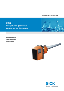 GM32 Analyseur de gaz in-situ Version sonde de mesure