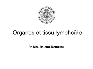Organes et tissu lymphoides